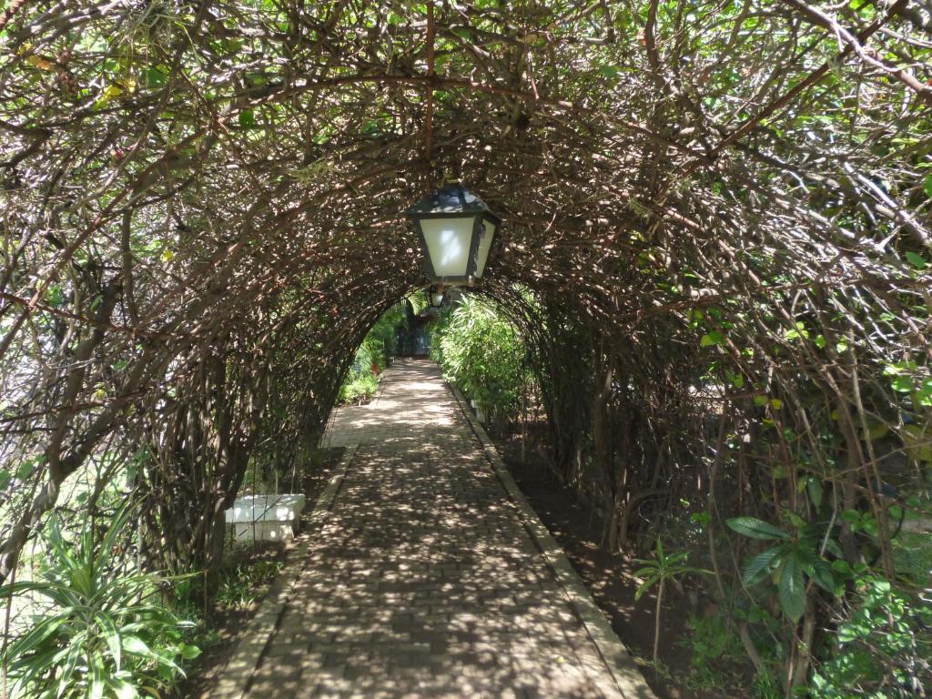 洛杉矶梅森酒店 Oaxaca 外观 照片